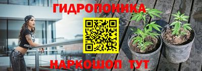 прущие грибы Ирбит