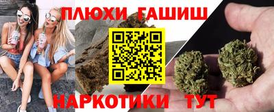 прущие грибы Ирбит