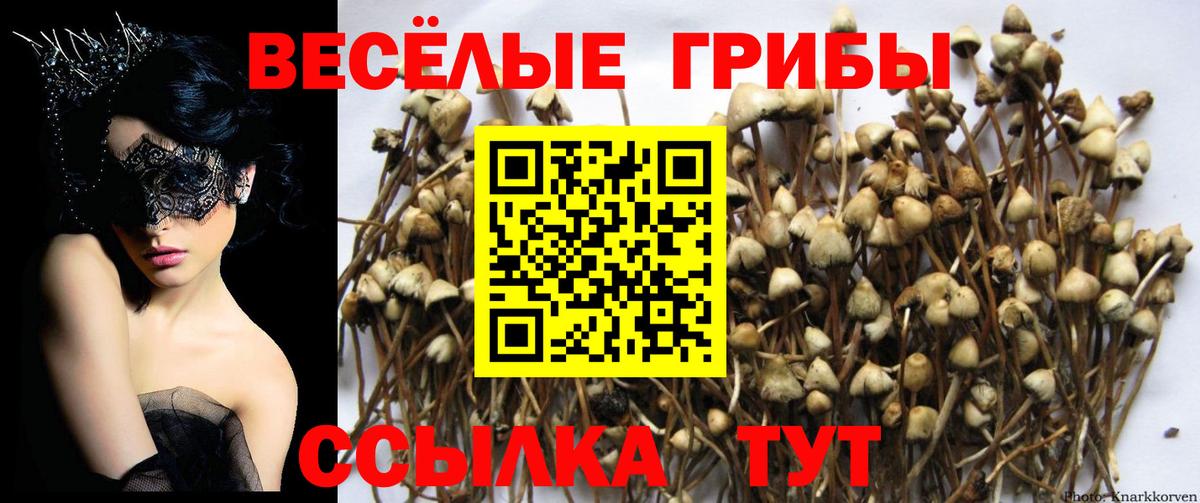 Псилоцибиновые грибы мухоморы Орёл