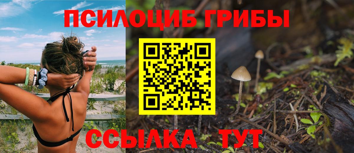 Галлюциногенные грибы ЛСД  Вход с VPN  Галлюциногенные грибы GOLDEN TEACHER  Орёл 